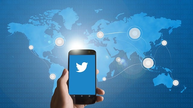 伊隆·馬斯克找到了新的 Twitter CEO