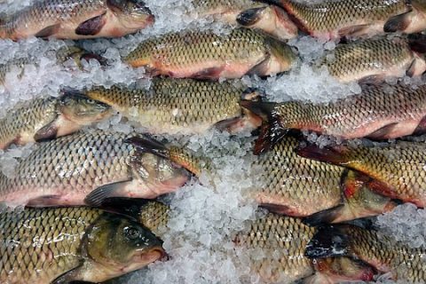 禁止進(jìn)口！中國(guó)海關(guān)嚴(yán)控日本進(jìn)口食品，維護(hù)消費(fèi)者健康